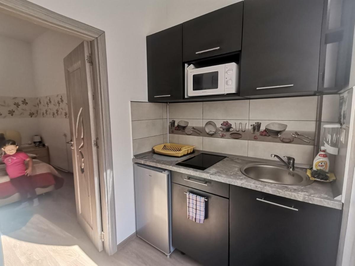 Hotel Casa Dixi Buşteni Exteriér fotografie