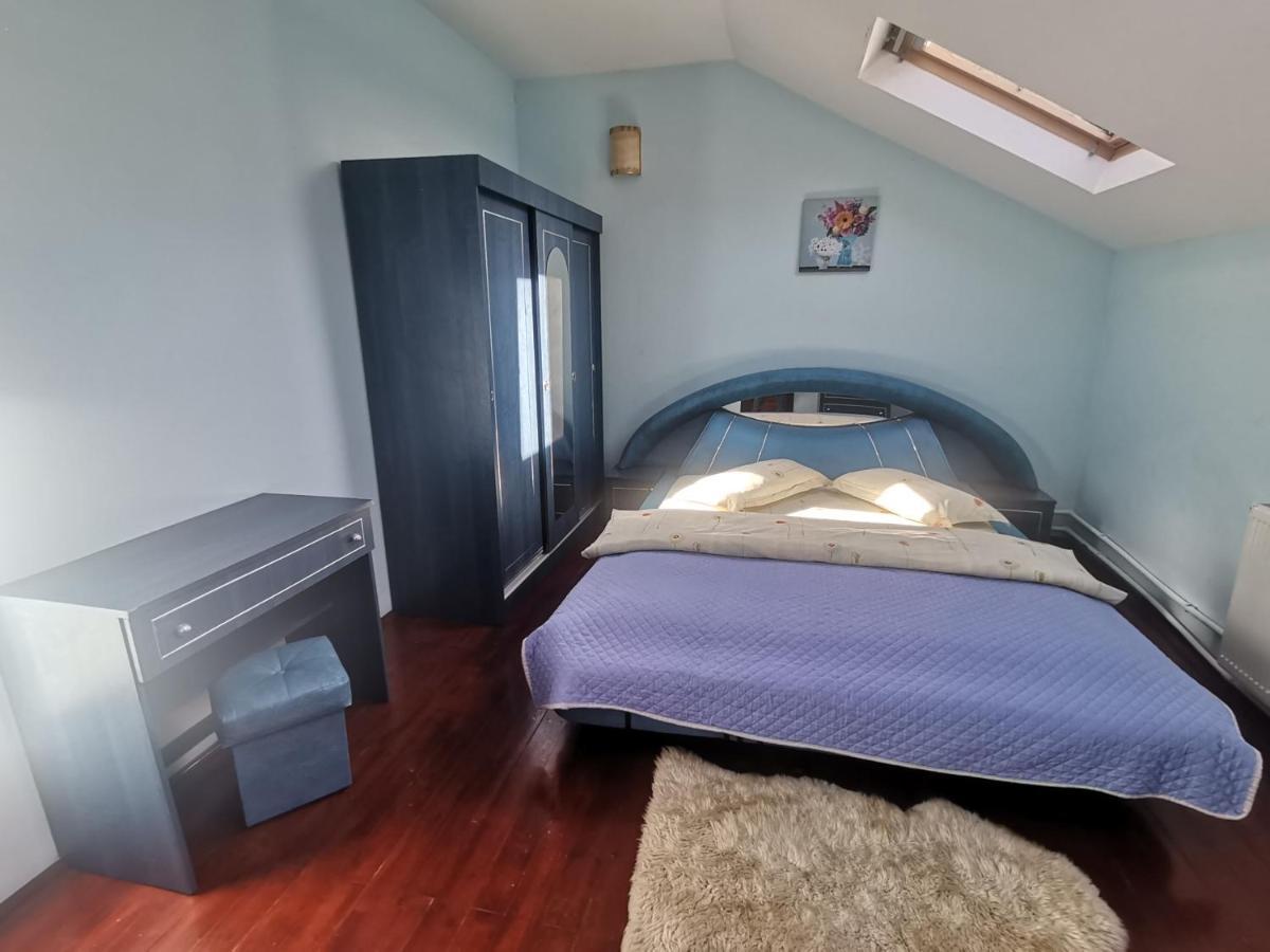 Hotel Casa Dixi Buşteni Exteriér fotografie